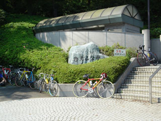 �ȥ졼�˥���μ�ž�־�꤬���äѤ�