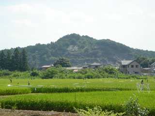 �Τɤ��ʲ椬���ڡ����