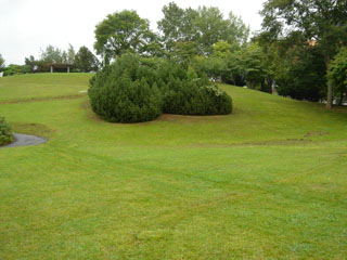 ���ȡ����Ȥθ��७������