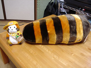 ��ʪ�Ǥ����顪