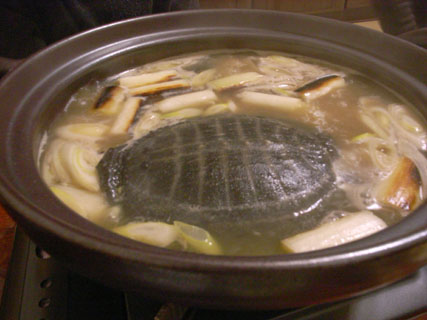 ���夬�ݤ��ȡ��������