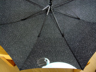 �����ʤ�ǥ�������