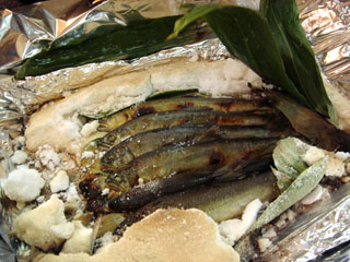 ��������椫�鰾����