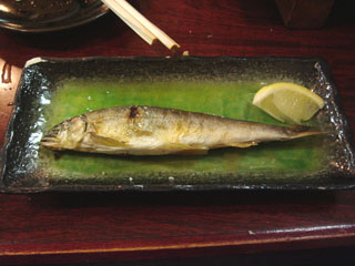 Ƭ����ݤ������ǽ