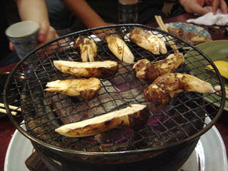 �ޥĥ�����ú�оƤ�